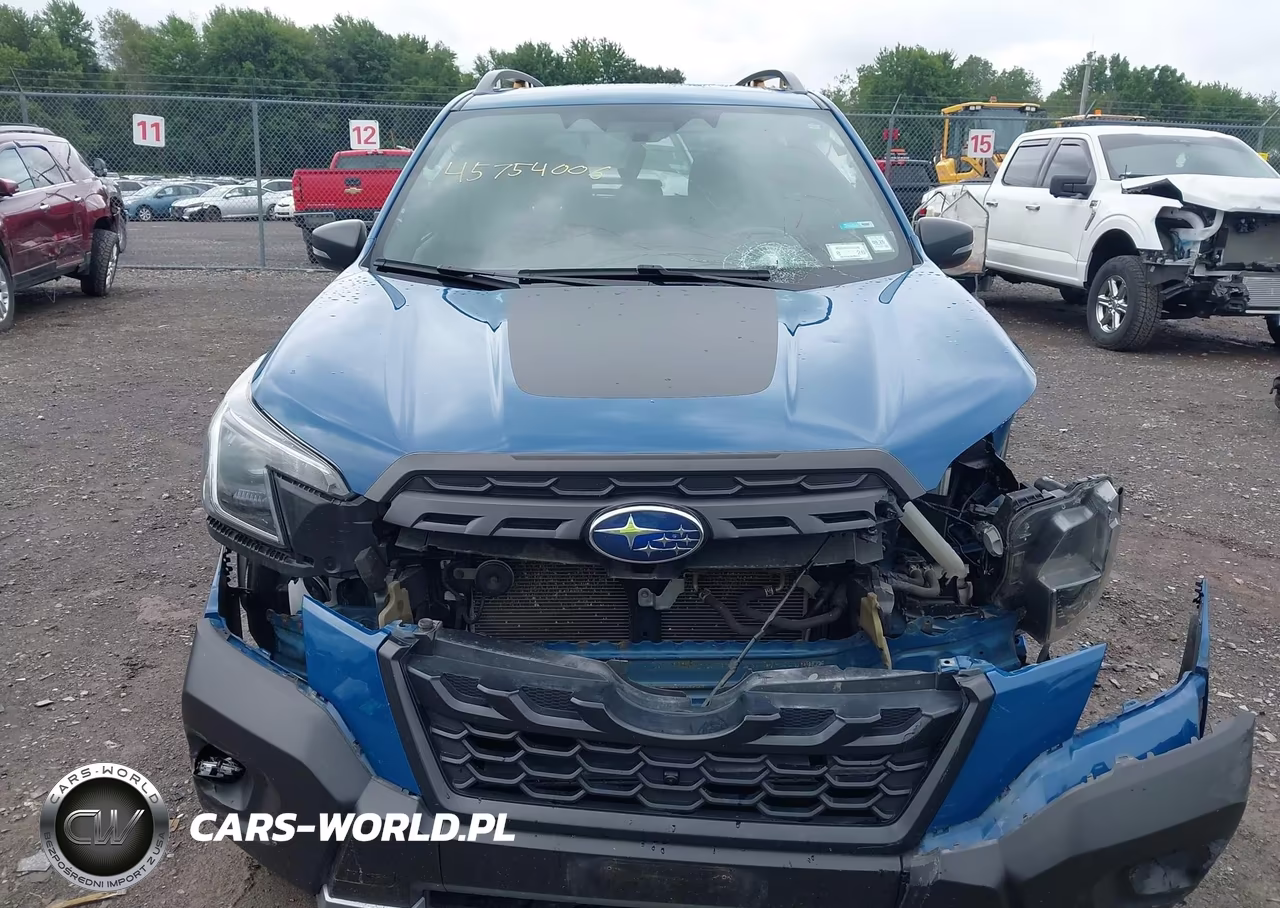 2022 Subaru Forester Wilderness VIN:JF2SKAMC4NH492099 - 12