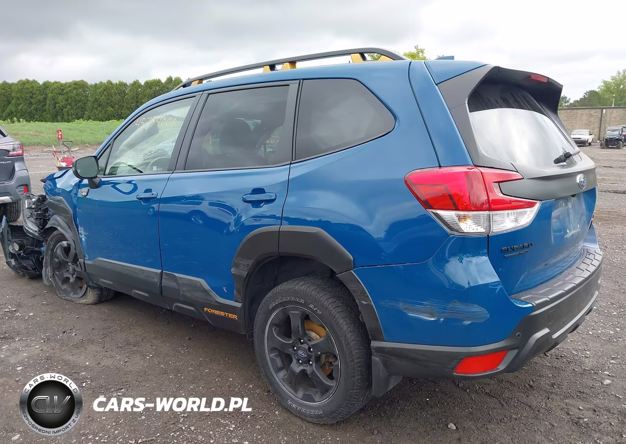 2022 Subaru Forester Wilderness VIN:JF2SKAMC4NH492099 - 3