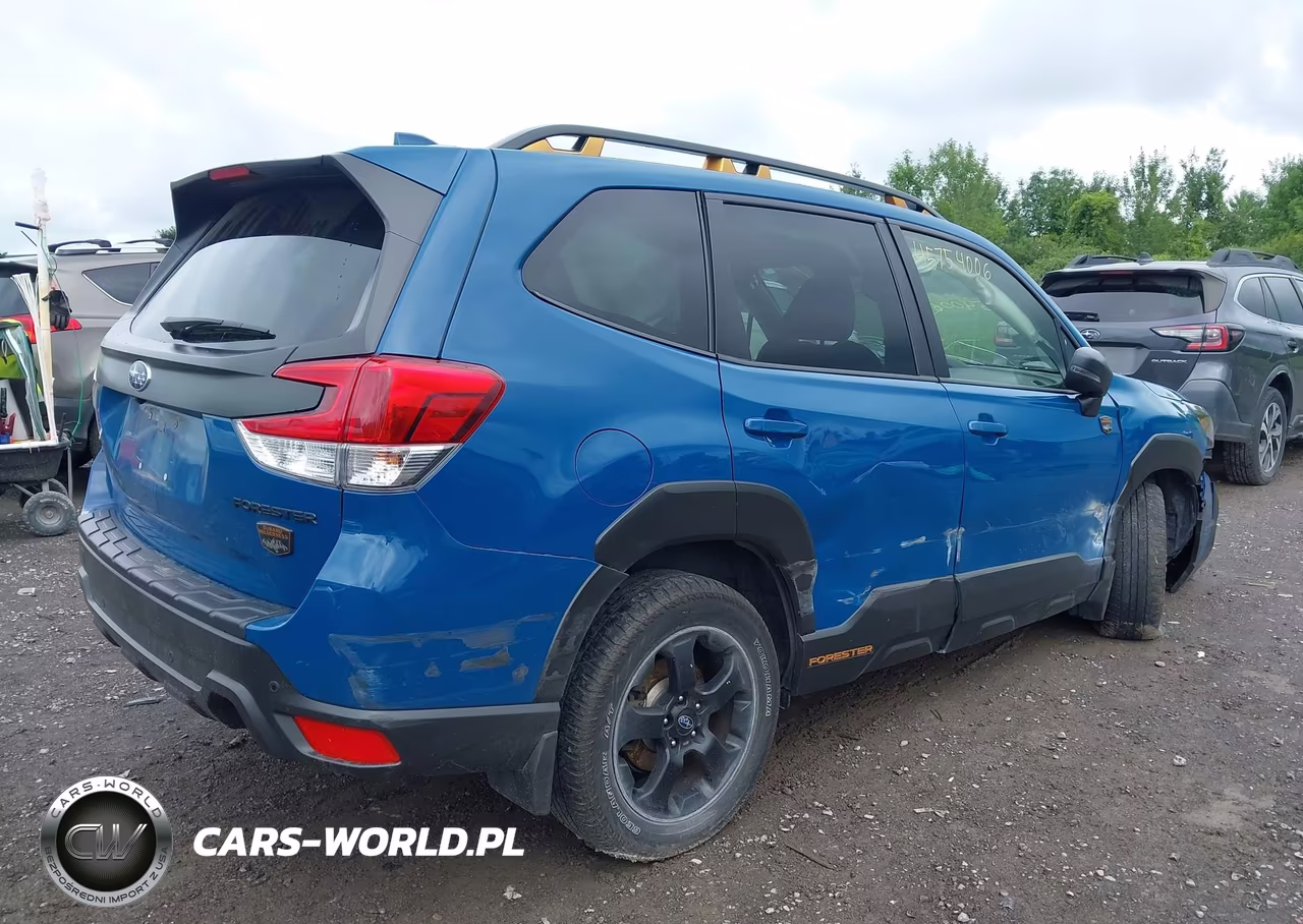 2022 Subaru Forester Wilderness VIN:JF2SKAMC4NH492099 - 4
