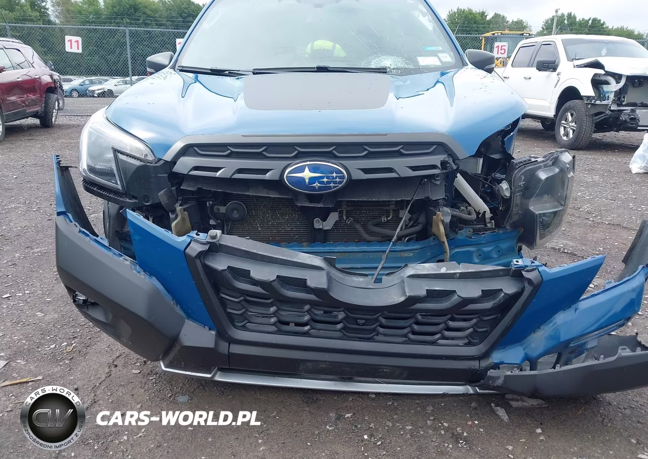 2022 Subaru Forester Wilderness VIN:JF2SKAMC4NH492099 - 6