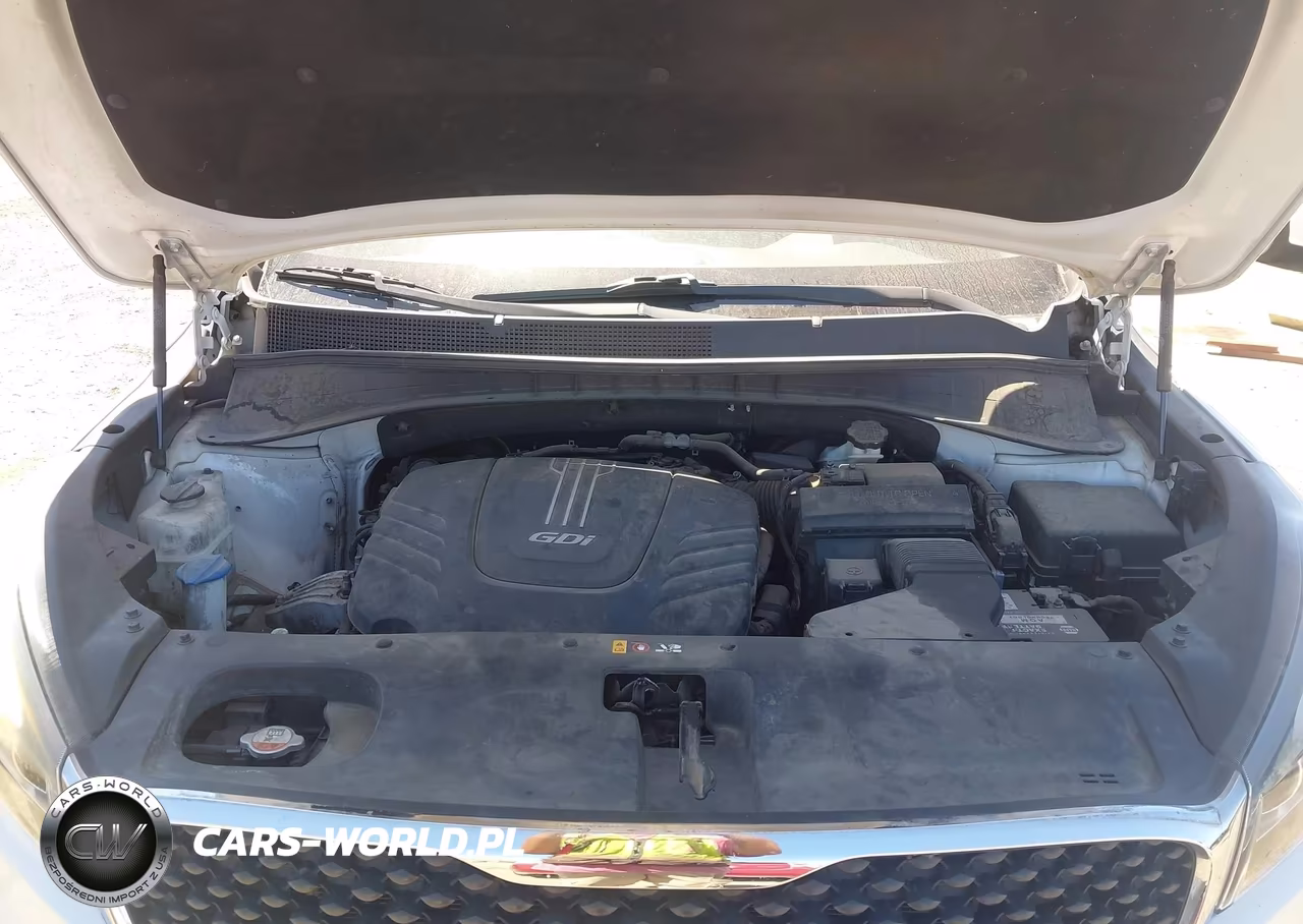 2017 Kia Sorento 3.3L Lx VIN:5XYPG4A57HG227509 - 10