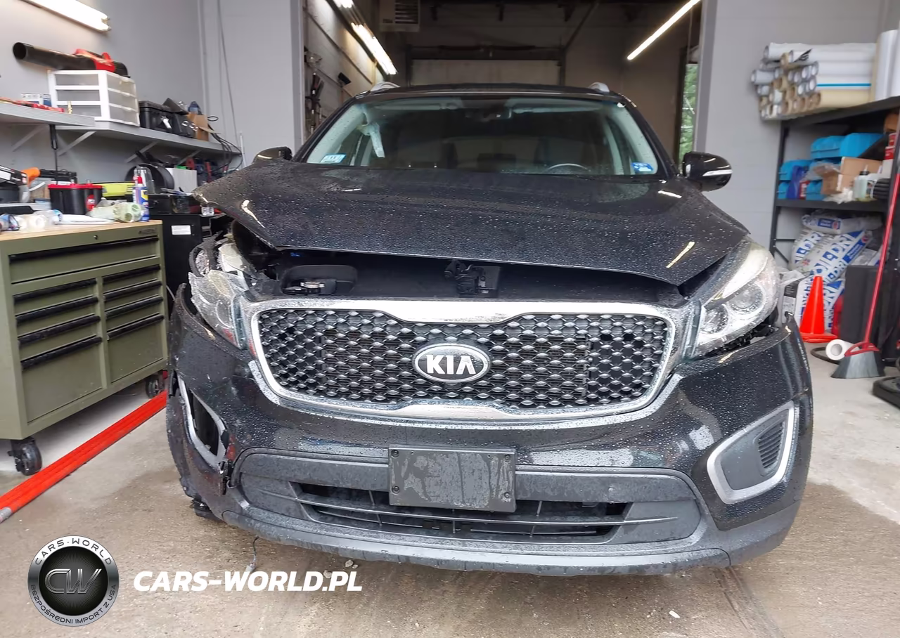 2017 Kia Sorento 2.4L Lx VIN:5XYPGDA33HG275765 - 12