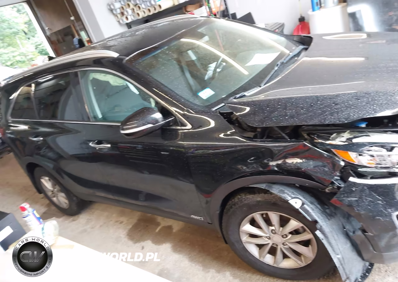 2017 Kia Sorento 2.4L Lx VIN:5XYPGDA33HG275765 - 13