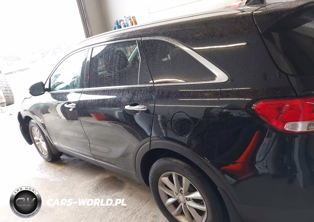 2017 Kia Sorento 2.4L Lx VIN:5XYPGDA33HG275765 - 14