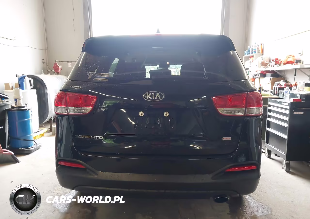 2017 Kia Sorento 2.4L Lx VIN:5XYPGDA33HG275765 - 16