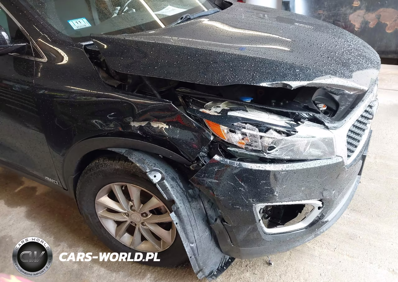 2017 Kia Sorento 2.4L Lx VIN:5XYPGDA33HG275765 - 17