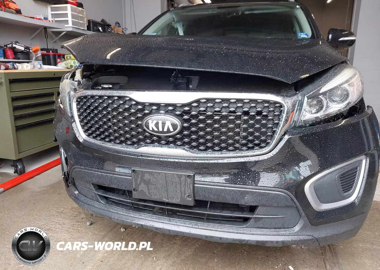 2017 Kia Sorento 2.4L Lx VIN:5XYPGDA33HG275765 - 18