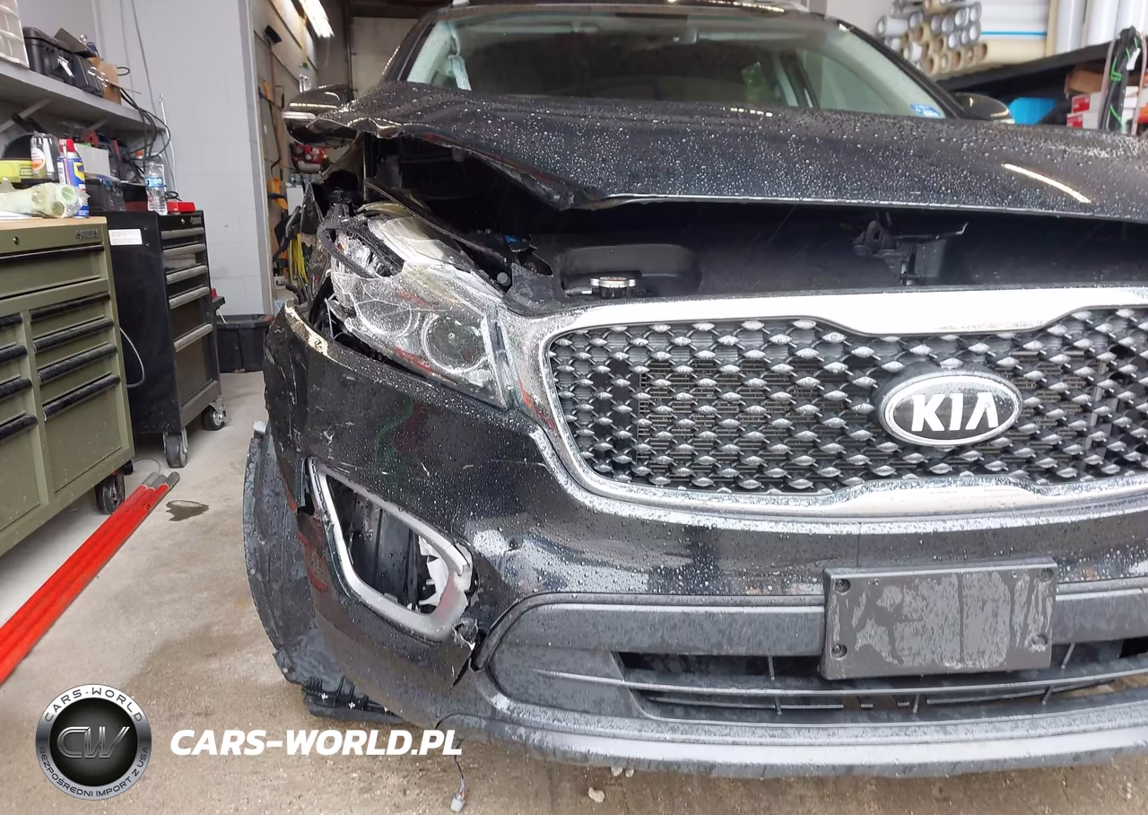 2017 Kia Sorento 2.4L Lx VIN:5XYPGDA33HG275765 - 19
