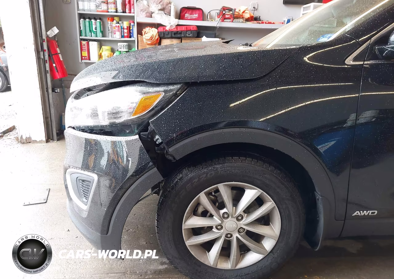 2017 Kia Sorento 2.4L Lx VIN:5XYPGDA33HG275765 - 20