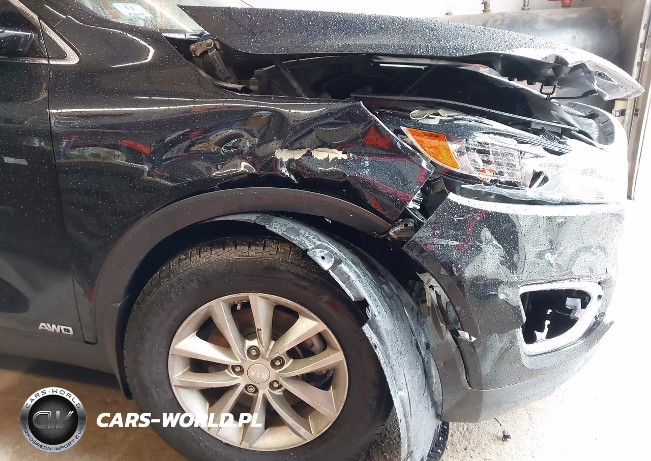 2017 Kia Sorento 2.4L Lx VIN:5XYPGDA33HG275765 - 21