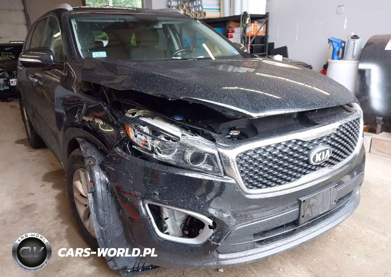 2017 Kia Sorento 2.4L Lx VIN:5XYPGDA33HG275765 - 6