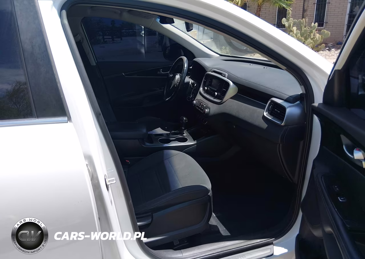 2016 Kia Sorento 3.3L Lx VIN:5XYPG4A52GG157092 - 5