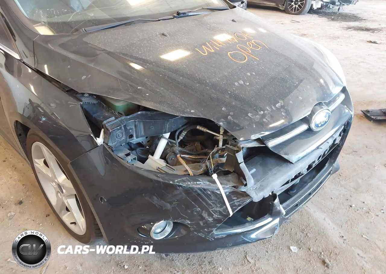 2014 Ford Focus Titanium VIN:1FADP3N29EL417539 - 6