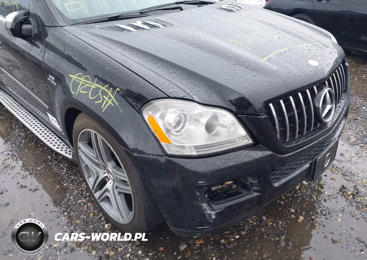 2009 Mercedes-Benz Gl 450 4Matic VIN:4JGBF71E49A526970 - 6