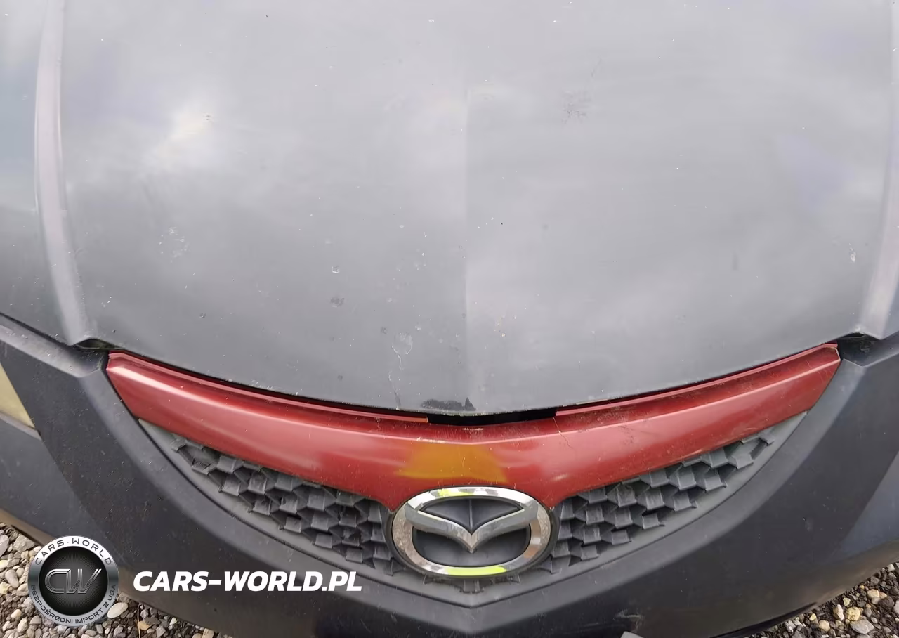 2009 Mazda Mazda3 I VIN:JM1BK32G291246232 - 10
