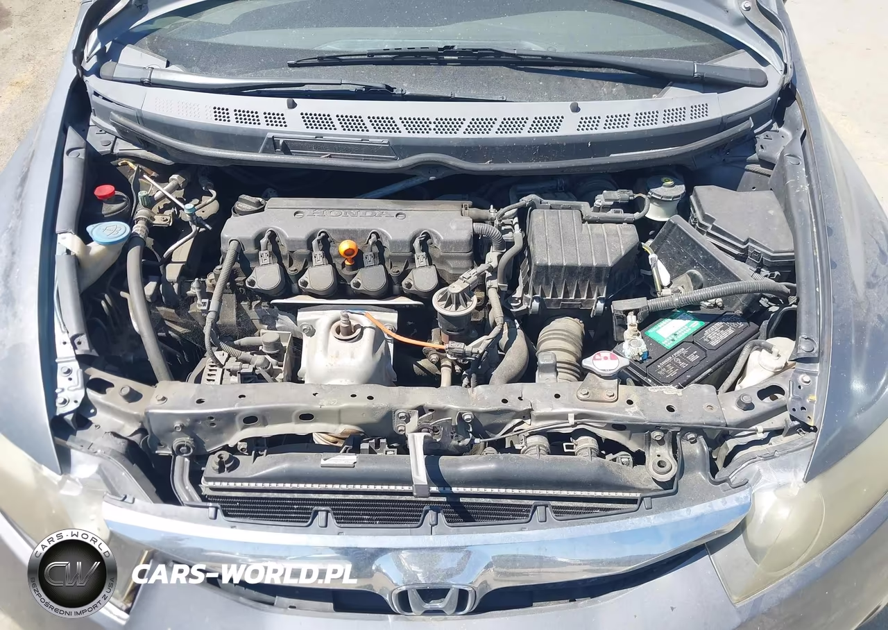 2010 Honda Civic Lx VIN:19XFA1F52AE028391 - 10