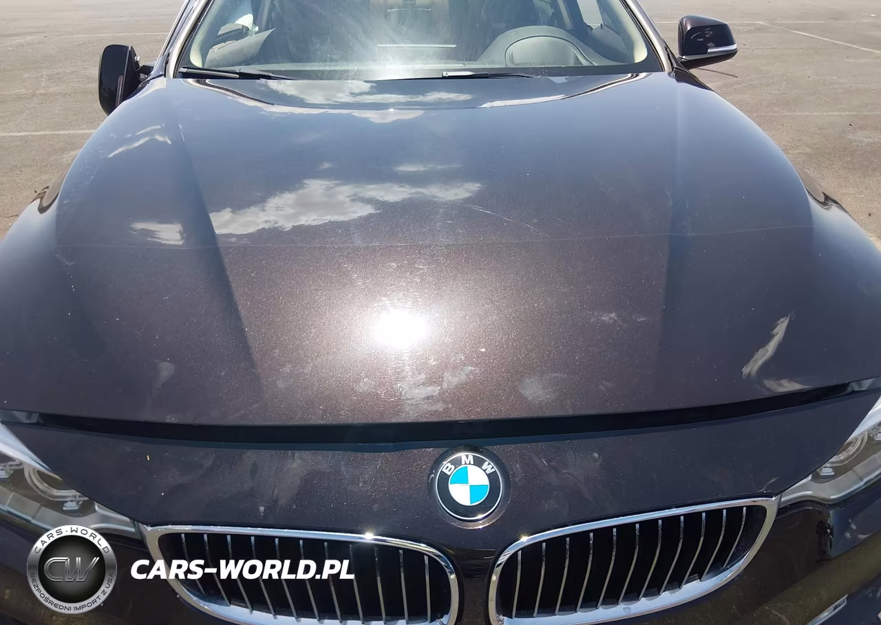 2015 BMW 428I VIN:WBA3N7C57FK222625 - 10