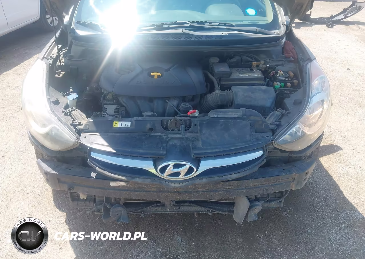 2013 Hyundai Elantra Gls VIN:5NPDH4AE7DH411996 - 10