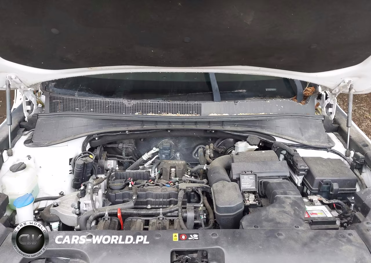 2016 Kia Sorento 2.4L Lx VIN:5XYPG4A37GG064356 - 10