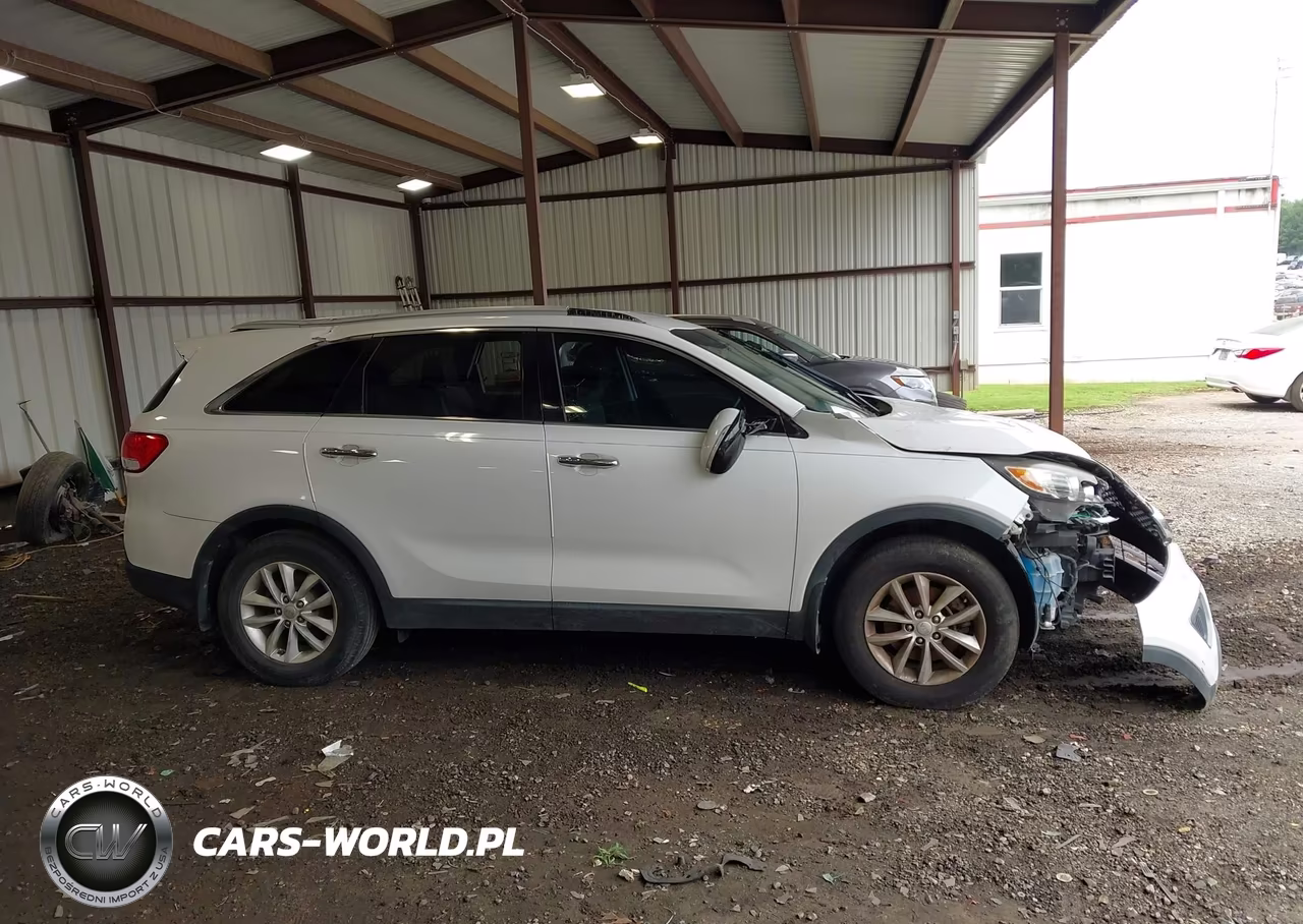 2016 Kia Sorento 2.4L Lx VIN:5XYPG4A37GG064356 - 13