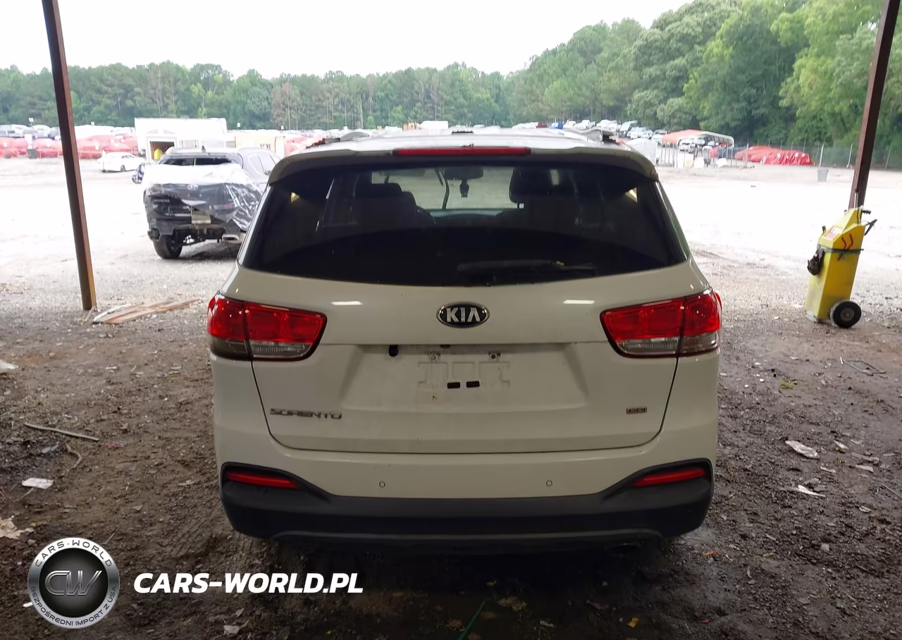 2016 Kia Sorento 2.4L Lx VIN:5XYPG4A37GG064356 - 16