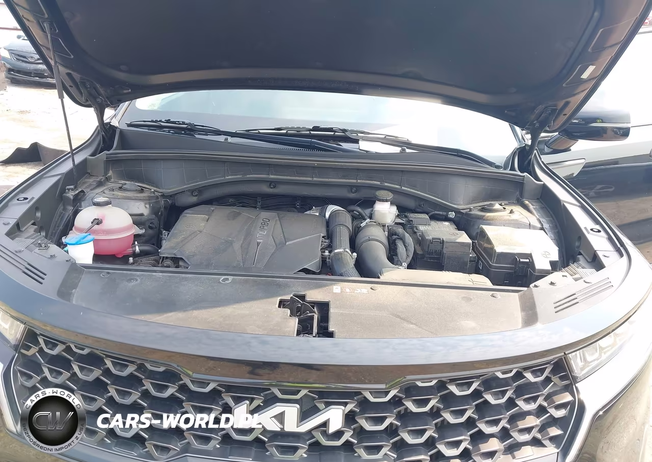 2023 Kia Sorento X-Line Ex VIN:5XYRHDLF8PG223284 - 10