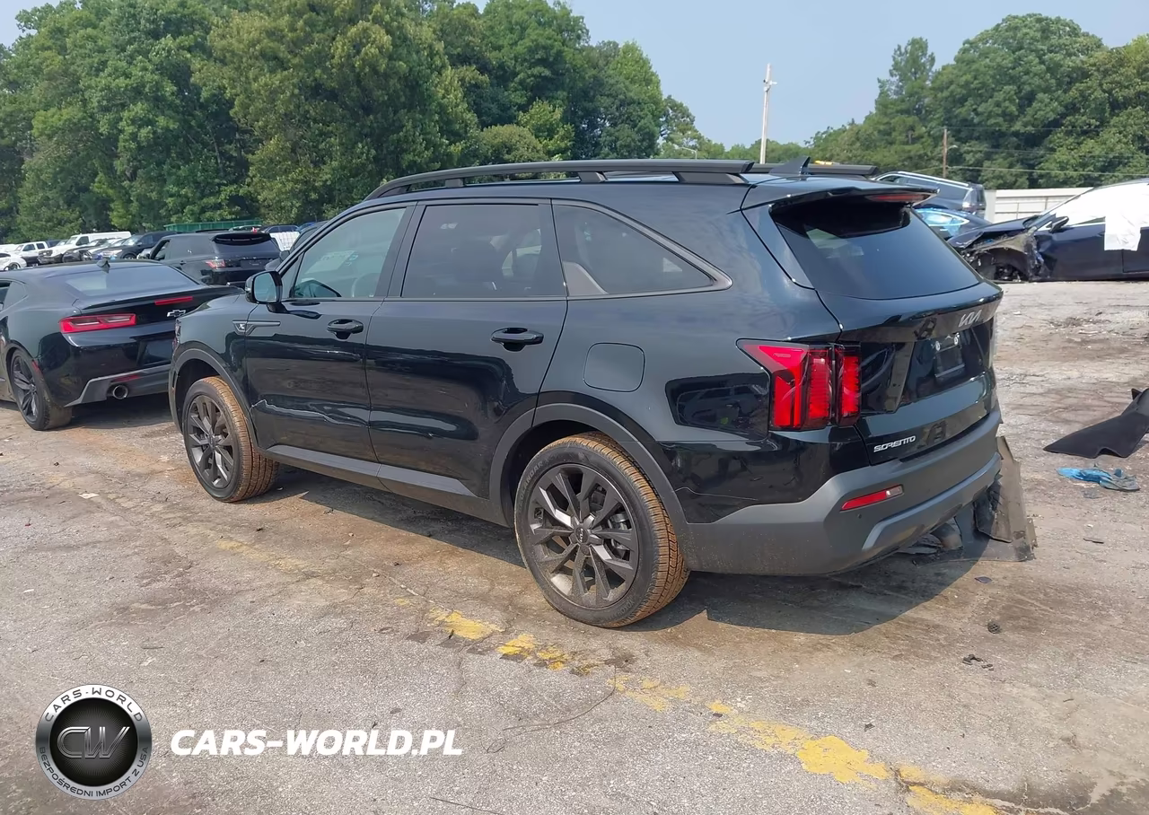 2023 Kia Sorento X-Line Ex VIN:5XYRHDLF8PG223284 - 3
