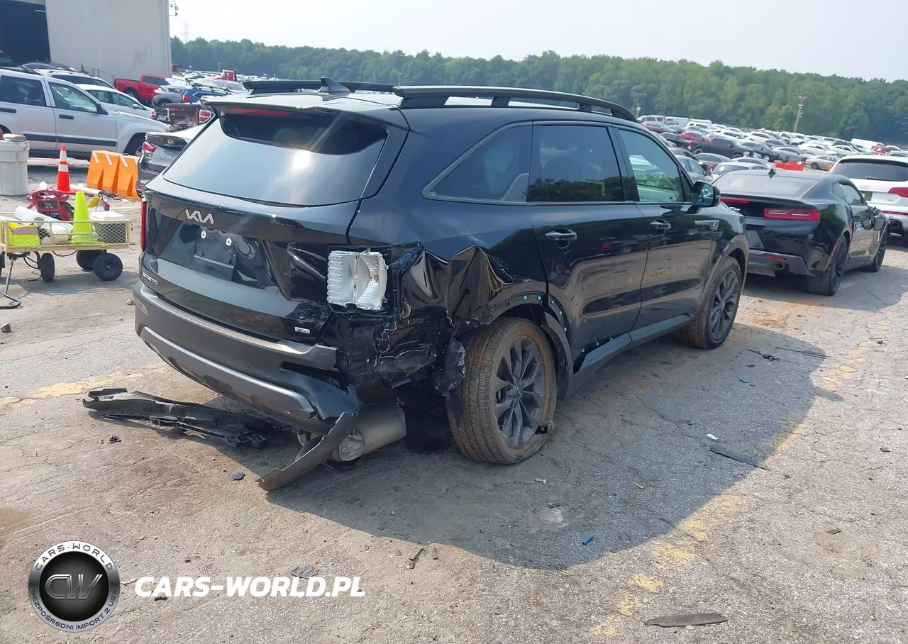 2023 Kia Sorento X-Line Ex VIN:5XYRHDLF8PG223284 - 4