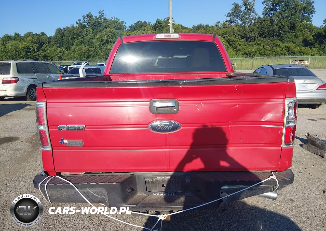 2010 Ford F-150 Fx2 Sport-Xl-Xlt VIN:1FTEW1C88AKA21714 - 16