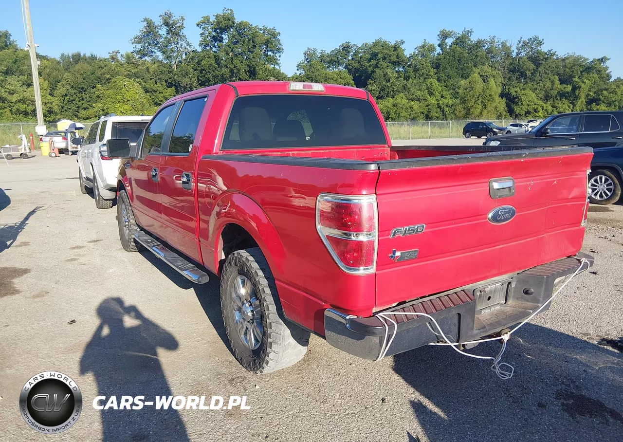 2010 Ford F-150 Fx2 Sport-Xl-Xlt VIN:1FTEW1C88AKA21714 - 3