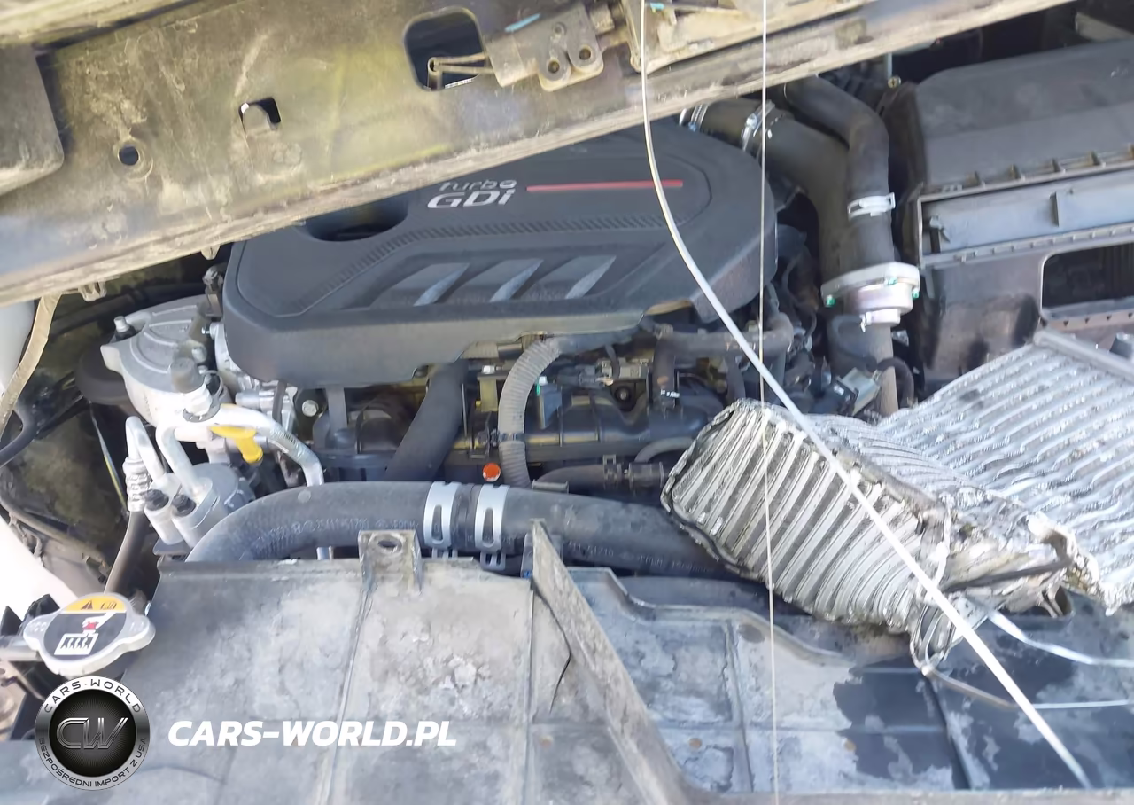 2020 Hyundai Santa Fe Limited 2.0T VIN:5NMS5CAA0LH202022 - 10