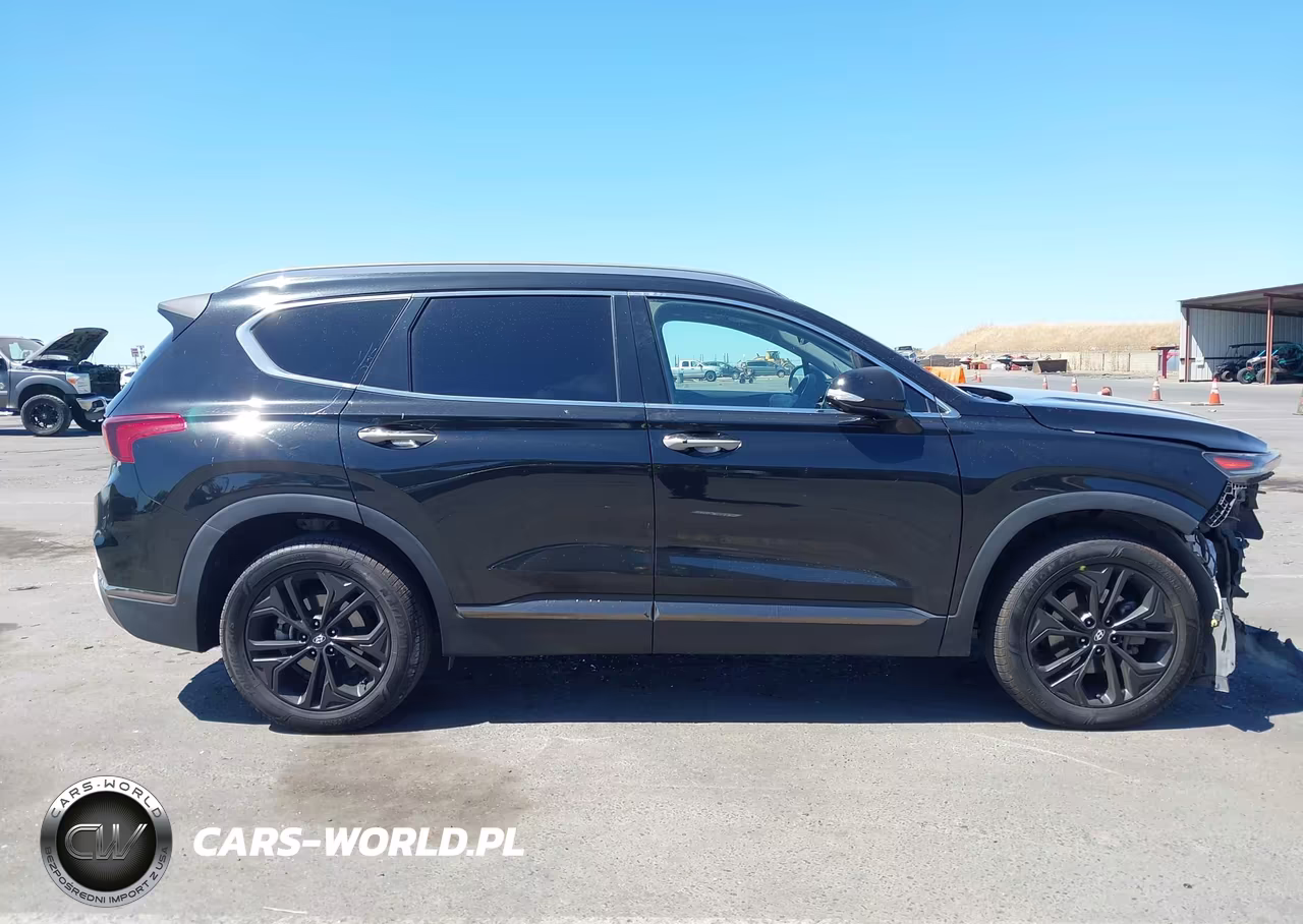 2020 Hyundai Santa Fe Limited 2.0T VIN:5NMS5CAA0LH202022 - 16
