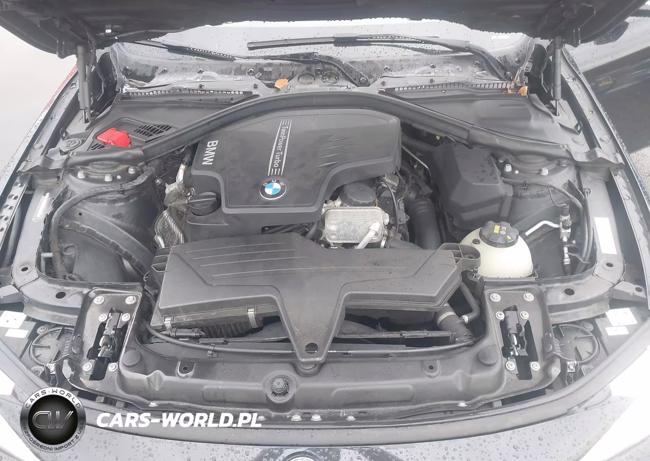 2016 BMW 428I xDrive VIN:WBA3N9C58GK248535 - 10