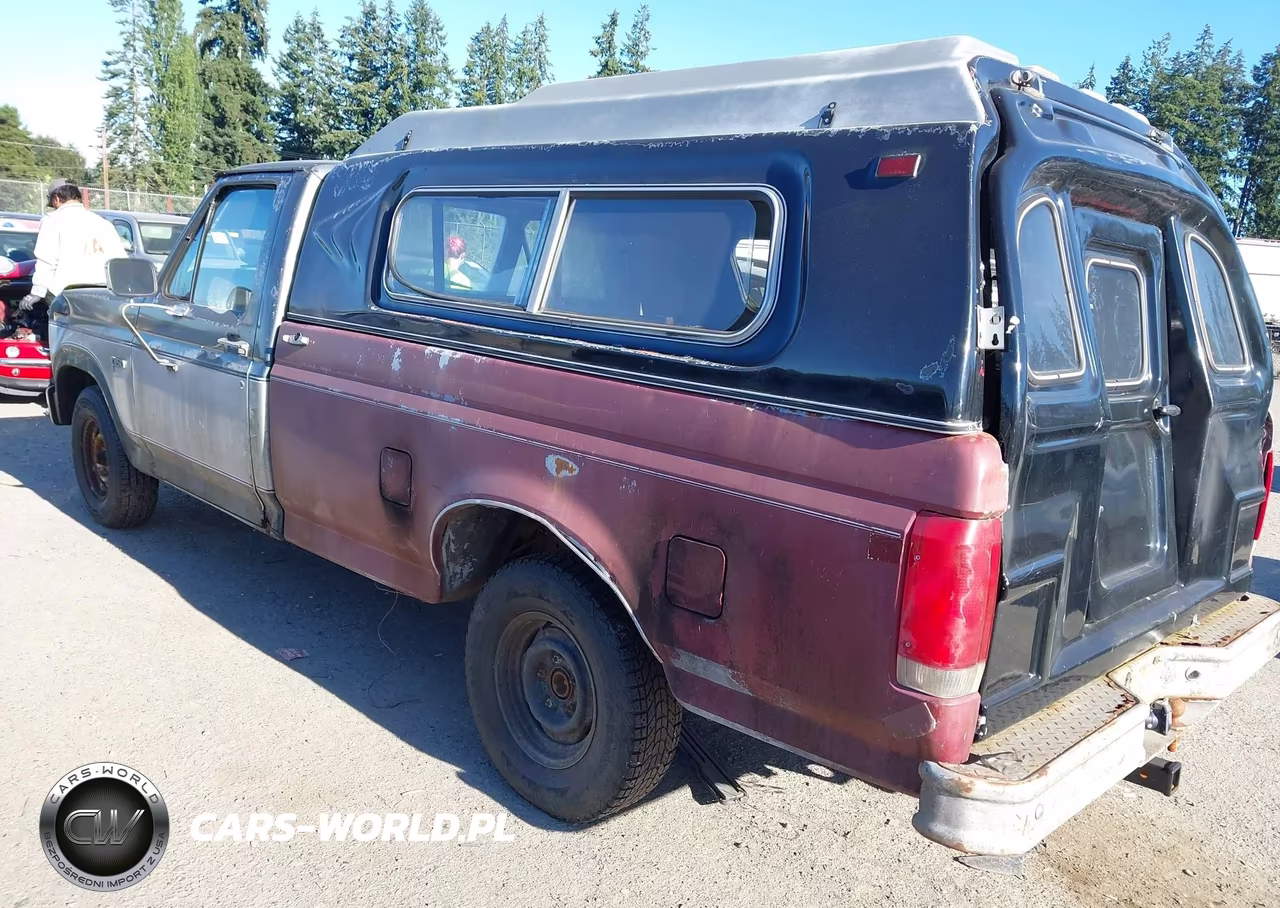 1983 Ford F150 VIN:1FTDF15Y8DRA28909 - 3