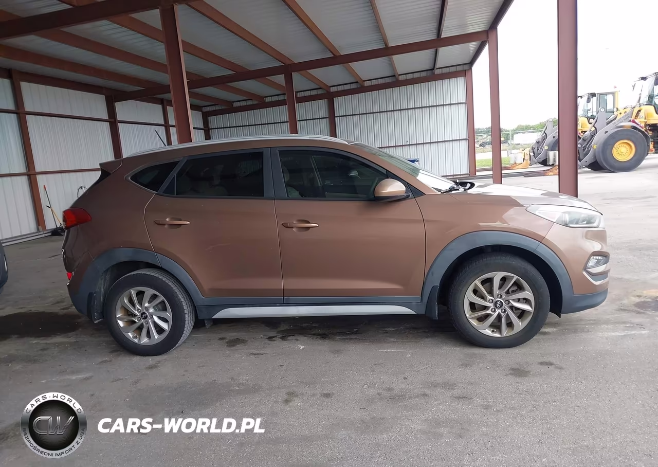 2017 Hyundai Tucson Se VIN:KM8J33A49HU530286 - 13