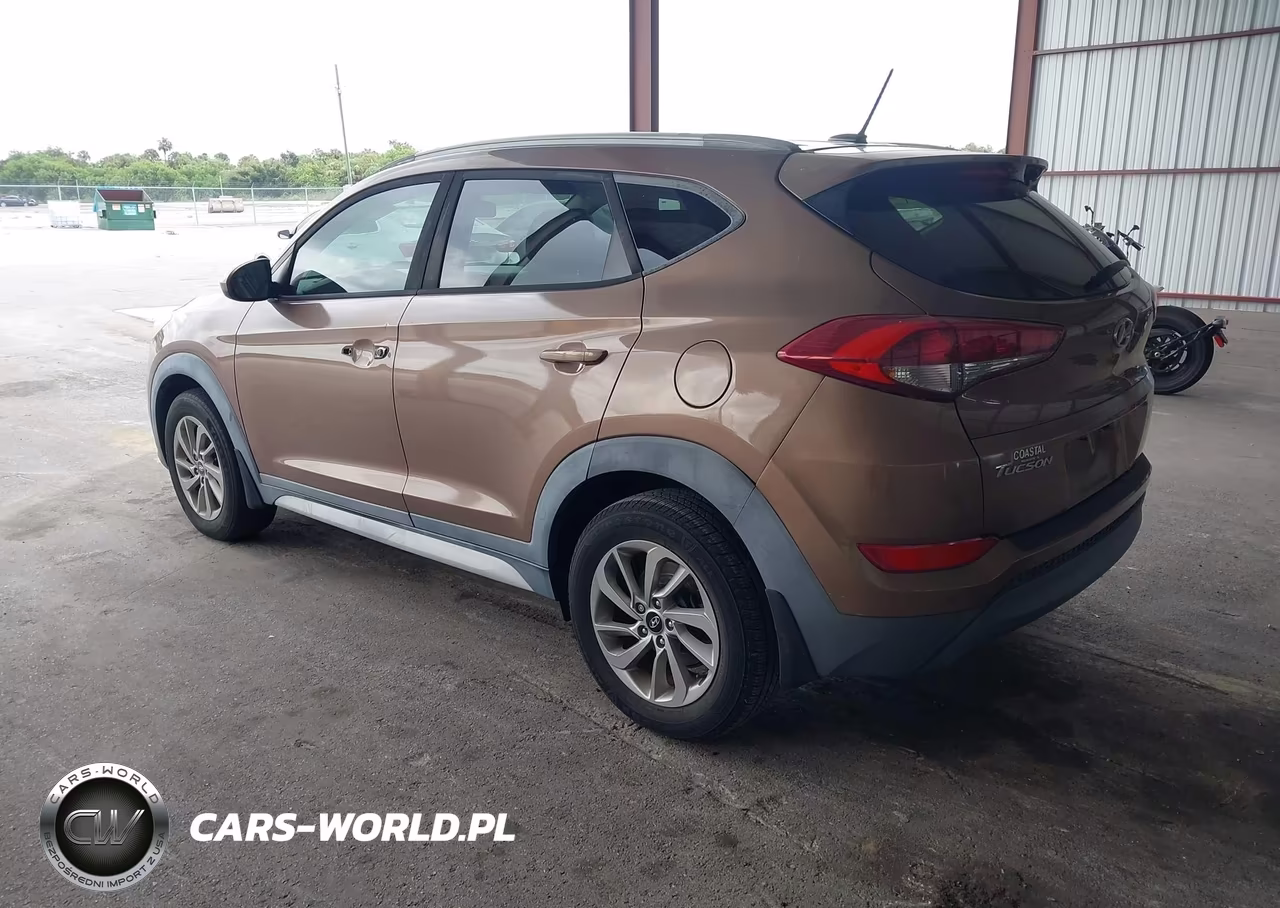 2017 Hyundai Tucson Se VIN:KM8J33A49HU530286 - 3