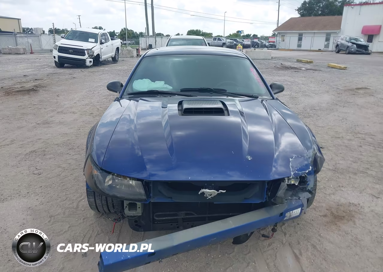 2003 Ford Mustang Mach 1 VIN:1FAFP42R53F429702 - 12