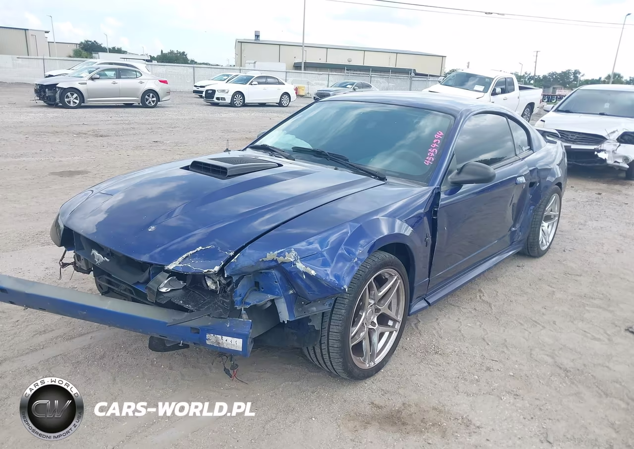 2003 Ford Mustang Mach 1 VIN:1FAFP42R53F429702 - 2