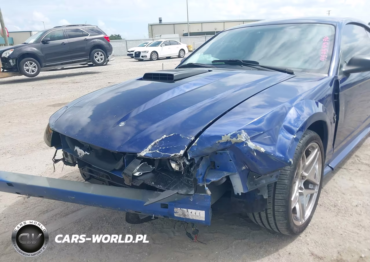 2003 Ford Mustang Mach 1 VIN:1FAFP42R53F429702 - 6