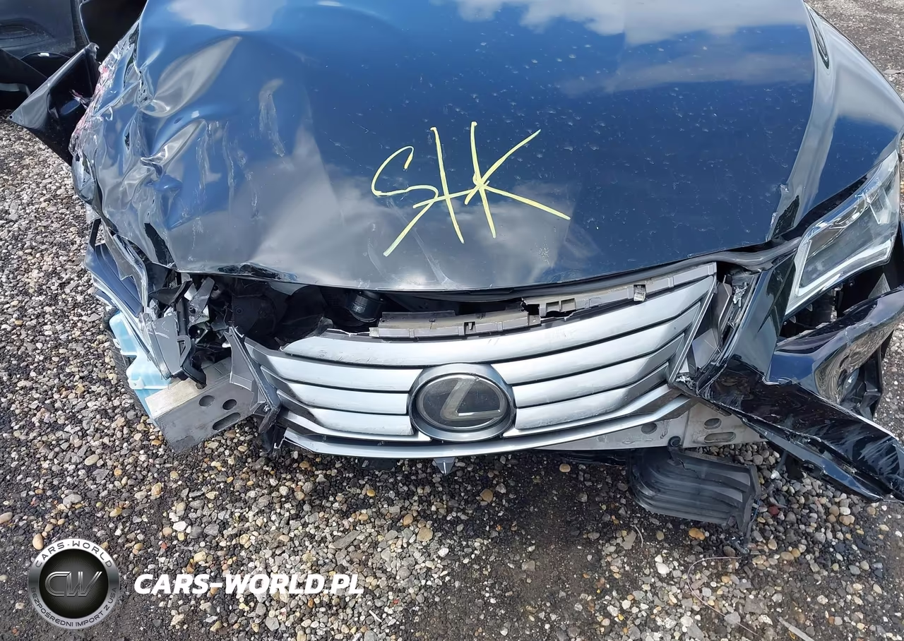 2019 Lexus Rx 350 VIN:JTJBZMCA2K2038134 - 10