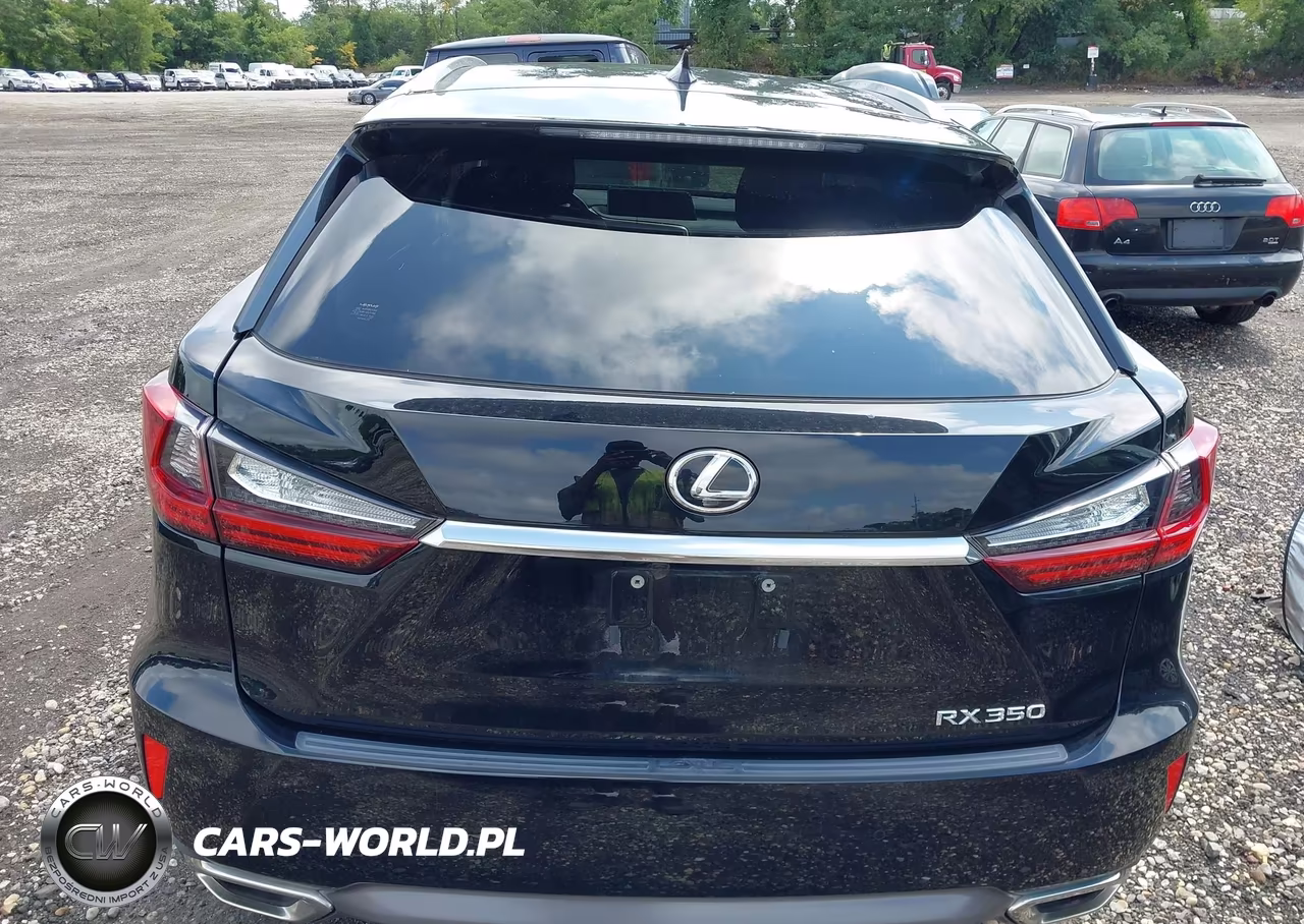 2019 Lexus Rx 350 VIN:JTJBZMCA2K2038134 - 16