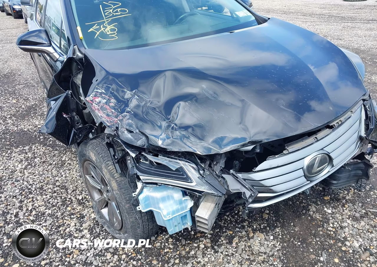 2019 Lexus Rx 350 VIN:JTJBZMCA2K2038134 - 6