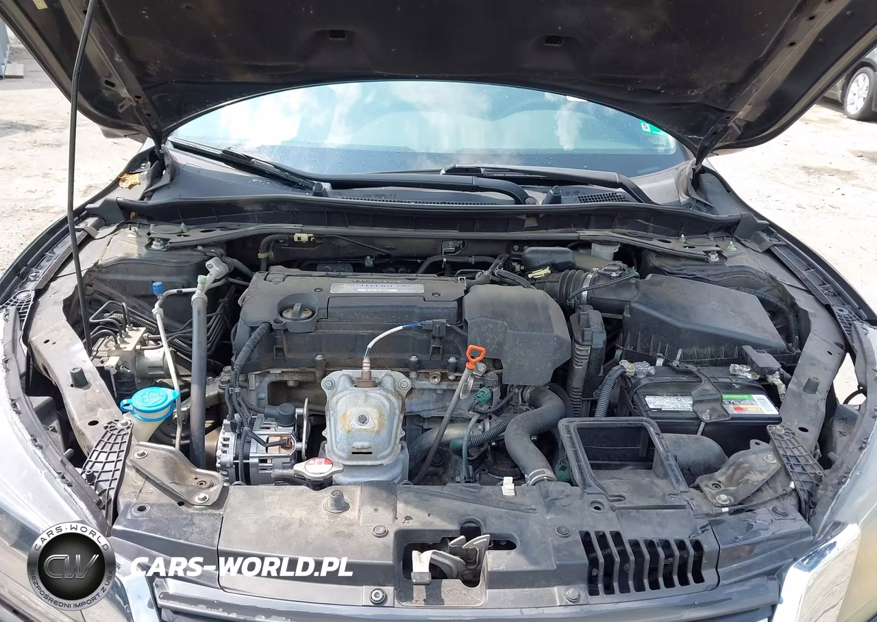 2013 Honda Accord Ex-L VIN:1HGCR2F84DA210842 - 10