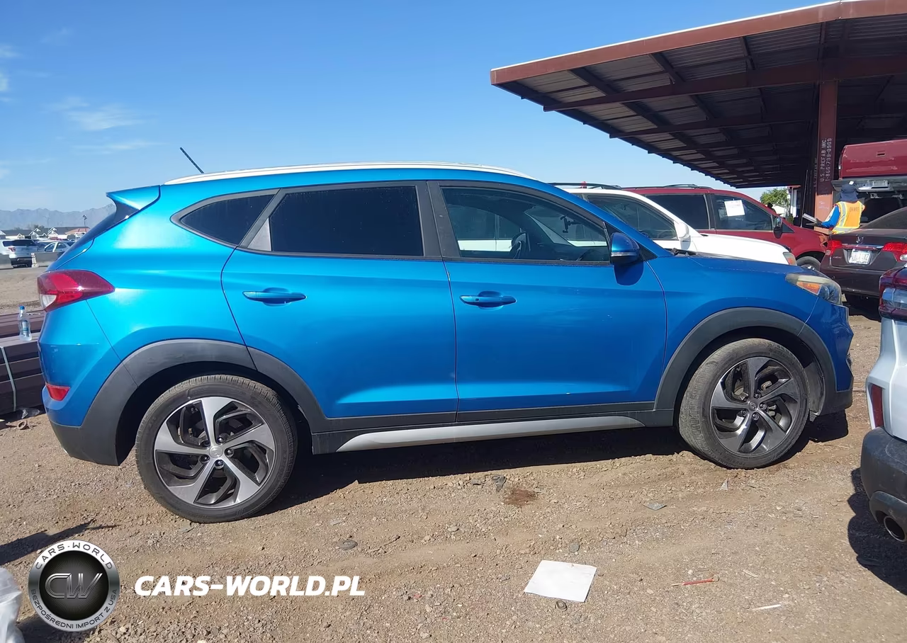 2017 Hyundai Tucson Sport VIN:KM8J33A2XHU310802 - 13