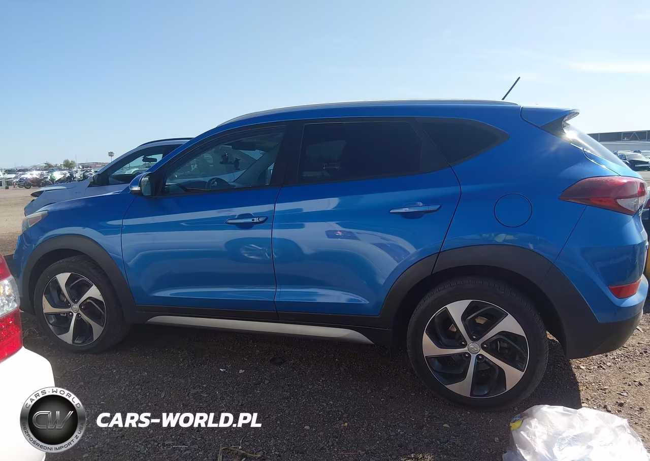 2017 Hyundai Tucson Sport VIN:KM8J33A2XHU310802 - 14