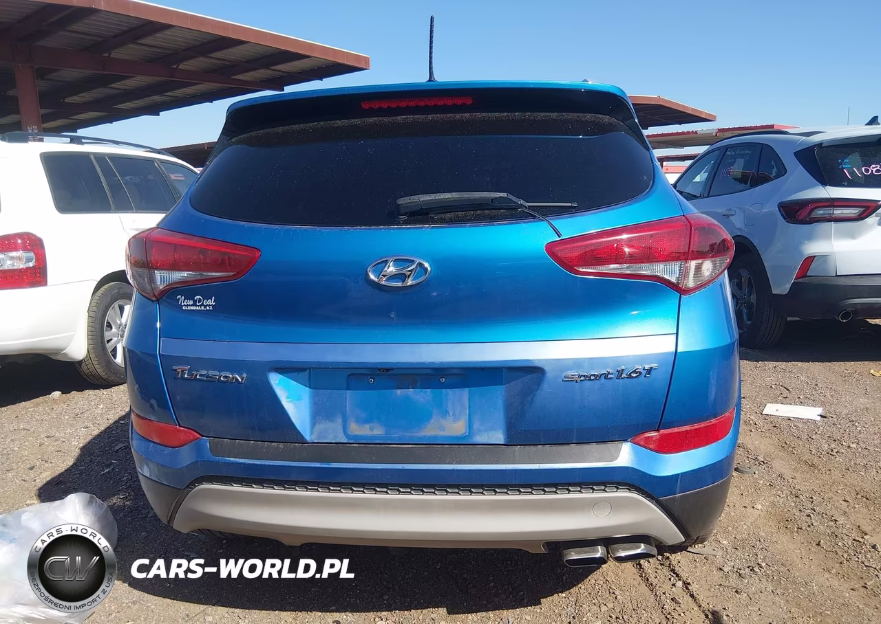 2017 Hyundai Tucson Sport VIN:KM8J33A2XHU310802 - 16