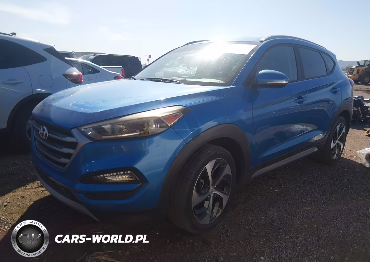 2017 Hyundai Tucson Sport VIN:KM8J33A2XHU310802 - 2