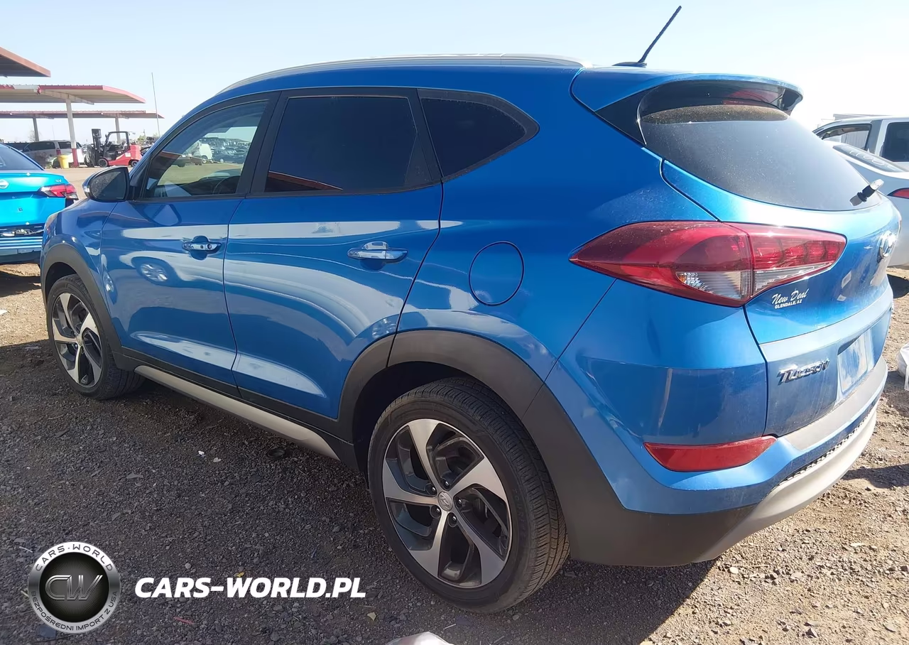 2017 Hyundai Tucson Sport VIN:KM8J33A2XHU310802 - 3