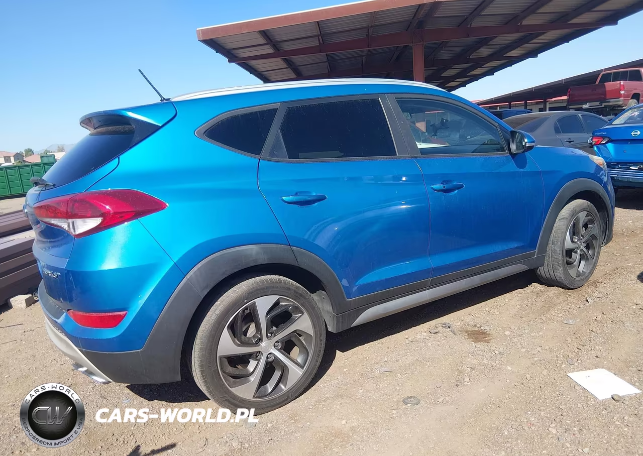 2017 Hyundai Tucson Sport VIN:KM8J33A2XHU310802 - 4