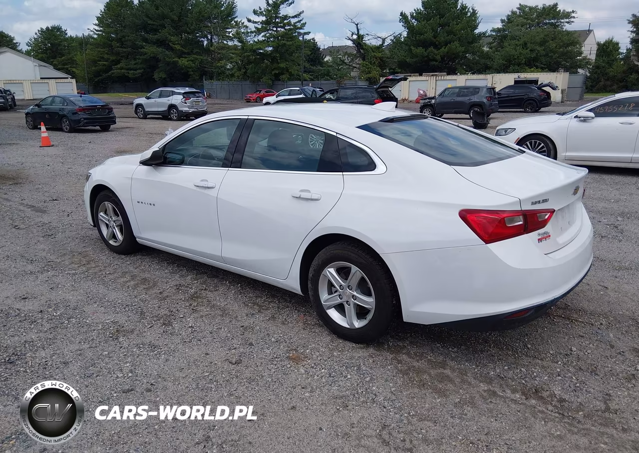 2023 Chevrolet Malibu Fwd 1Lt VIN:1G1ZD5STXPF242830 - 3